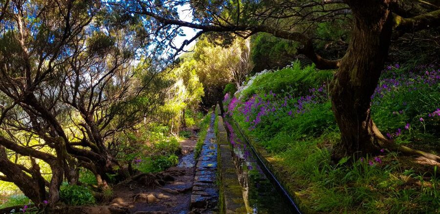 Small Group Walks Rabaçal 25 Fontes - The levada story: why this one is so famous