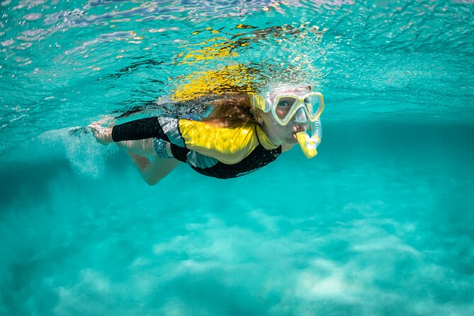 Snorkelling Trip at Ponta de São Lourenço Protected Area - Key Highlights You’ll Care About