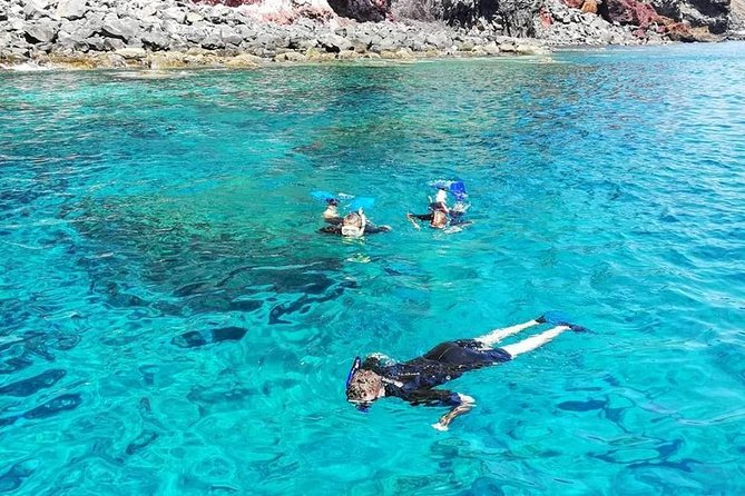 Snorkelling Trip at Ponta de São Lourenço Protected Area - Equipment and Comfort: Wetsuits, Masks, and Fin Fit