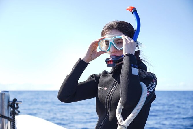 Snorkelling Trip at Ponta de São Lourenço Protected Area - How Long Is This, Really, and How to Time Your Afternoon?