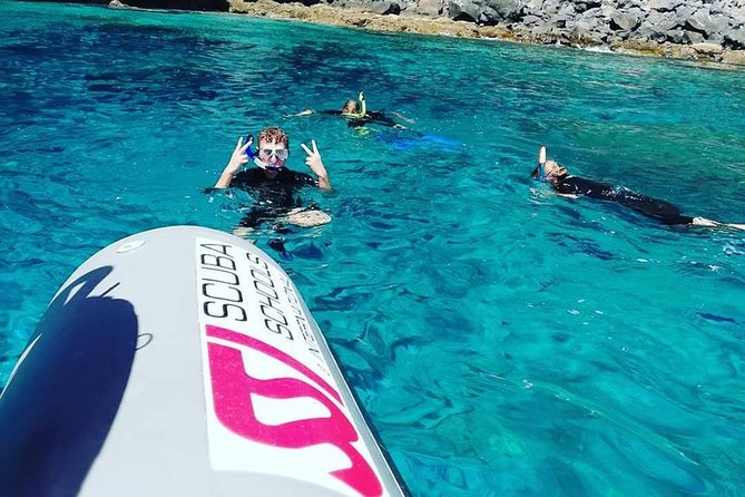 Snorkelling Trip at Ponta de São Lourenço Protected Area - Who This Snorkel Trip Fits Best (And Who Might Reconsider)