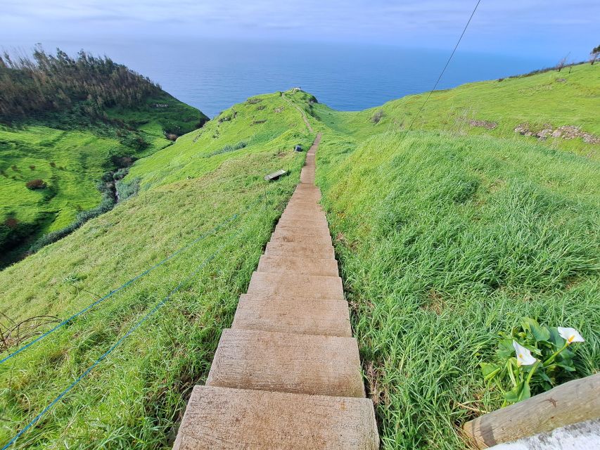 South Madeira: breathtaking coastal trip incl. Porto Moniz. - Madalena do Mar banana plantation walk: shade, quiet, and a calmer Madeira moment