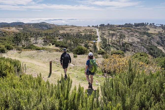 Stairway to Heaven: Pico do Areeiro in Madeira Island - Key things to know before you go