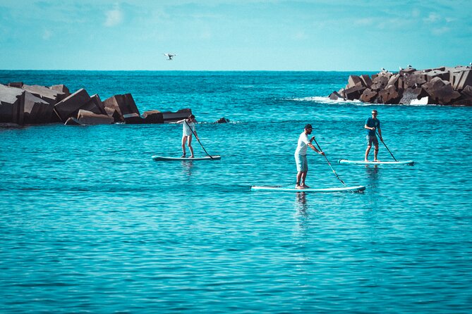 Stand Up Paddle Private Lesson in Calheta Beach - What You’ll Do During Your 1-Hour Session