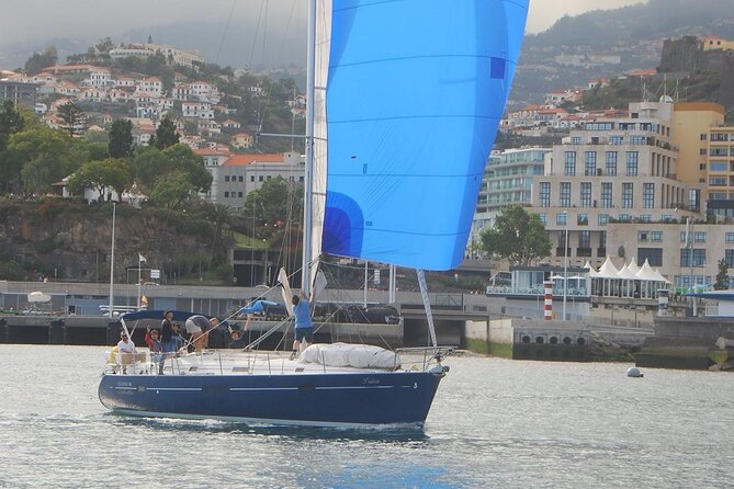 Sunrise, Sunset & Moonlight private Sailing Cruises in Madeira - Green Flash Chances and Moonlit Calm: How the Views Play Out