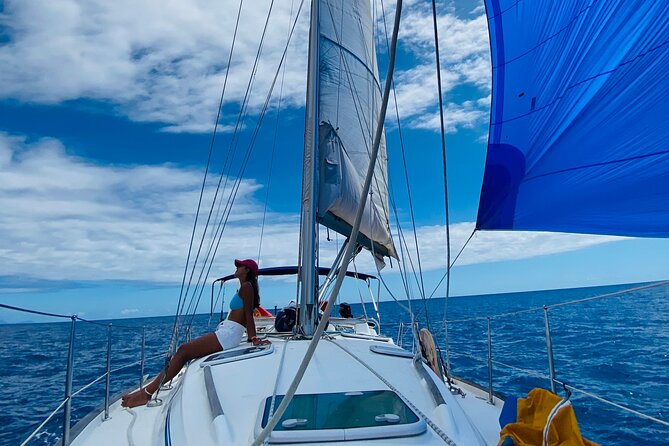 Sunrise, Sunset & Moonlight private Sailing Cruises in Madeira - Price and Value for a Private Group of Up to 8