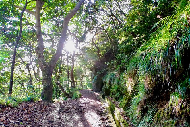 Sunrise Tour @ Pico Do Areiro | Half Day 4x4 Tour - The Balcões de Ribeiro Frio Bonus Walk: Short, Scenic, and Often Quieter