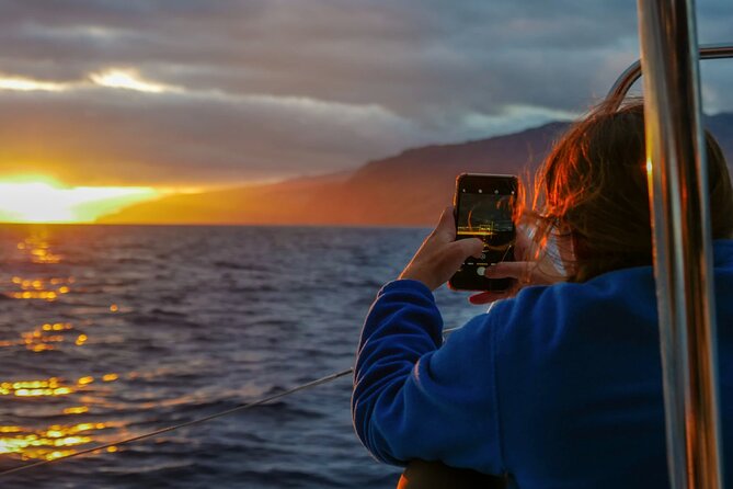 Sunset Catamaran Tour l Madeira Island - Key things to know before you go