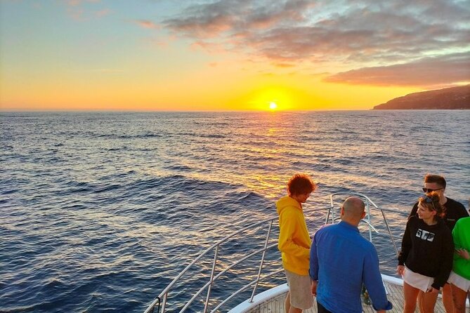 Sunset Cruise with Dinner on Board - The Main Event: Cruise Around Southern Madeira and the Bay-Light Magic
