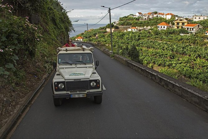 The Best of the South - Jeep Safari - Full Day - Shared Tour - The Banana and Sugar-Cane Production Learning Stop