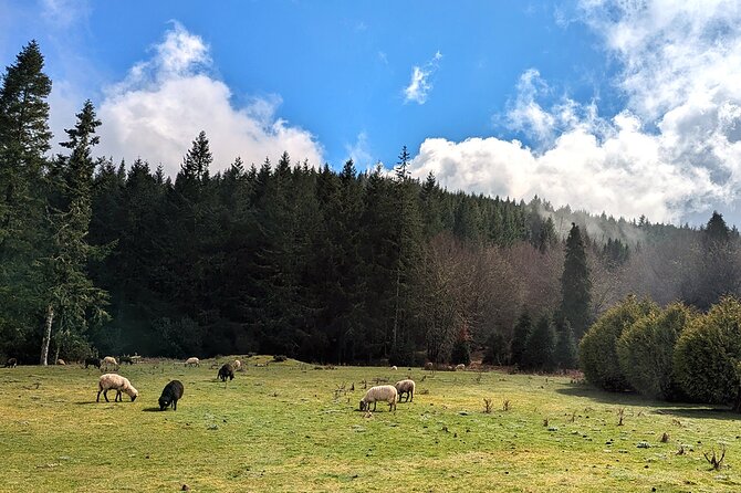 The Fabulous Pico do Arieiro: Half-day Private Tour - How the flexible itinerary actually helps your day