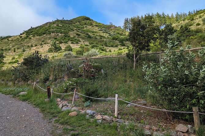The Fabulous Pico do Arieiro: Half-day Private Tour - Comfort and guiding: what Ross brings to the ride