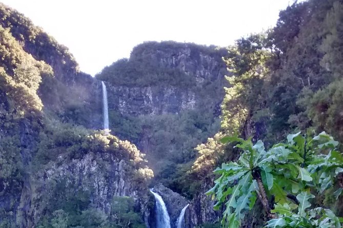 The Fantastic Cascades - Price and value: is $72.18 a good deal?