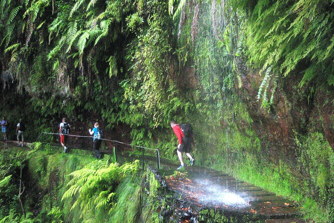The King's Levada - Levada do Rei - Key things that make the King’s Levada tour worth your morning
