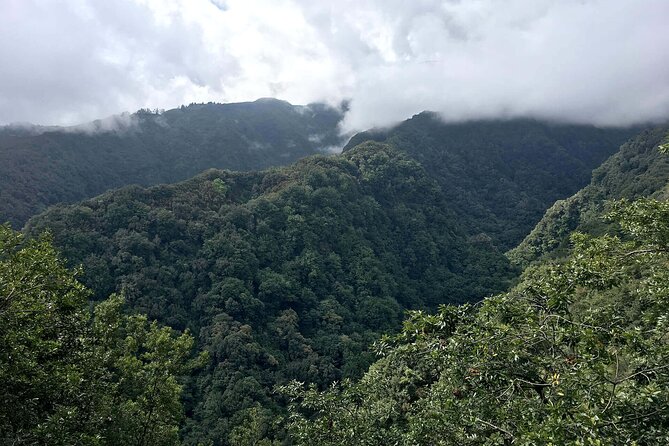 The King's Levada - Levada do Rei - Entering the Levada do Rei: what you’re actually hiking