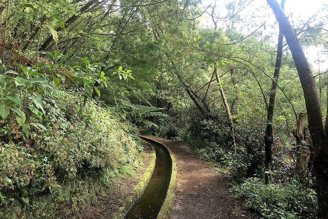 The King's Levada - Levada do Rei - What’s included in your ticket vs what you must bring