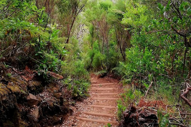 The Lakes Walk - The ~10 km route to Wind Lagoon (what the walking really feels like)