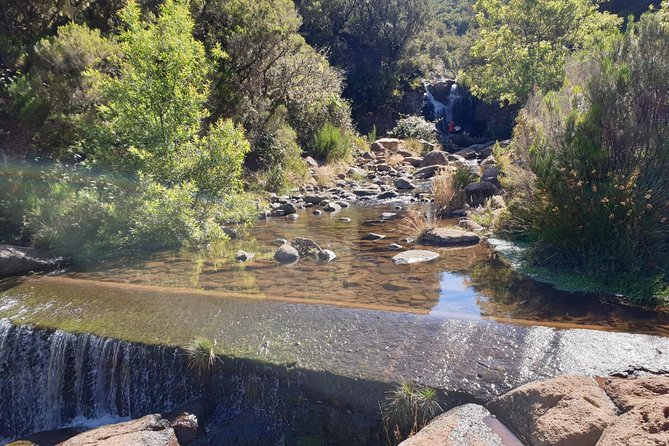 The Lakes Walk - Pickup, start time, and turning this into a smooth half-day in Funchal