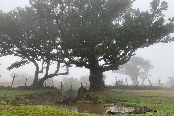 The Untraveled West Tour - Entering Madeira’s Untraveled West by jeep