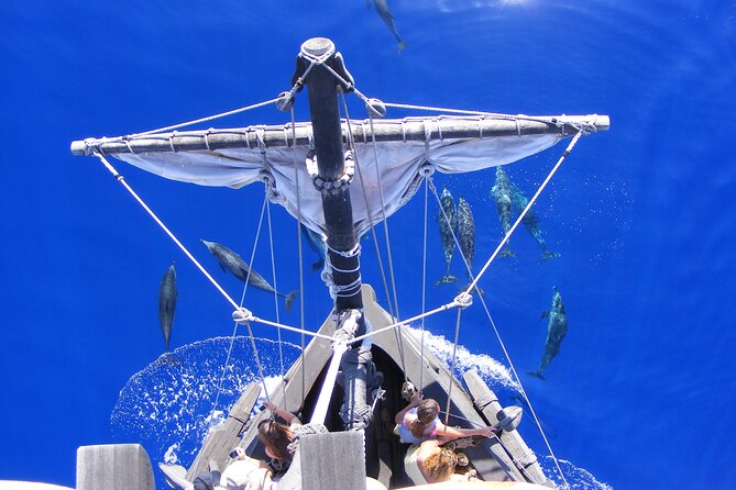 Time Travel on Columbus Replica Flag Ship in Madeira - Price and value: what $54.31 buys you in Madeira