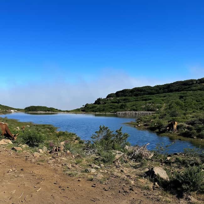 Tropical Tide, Porto Moniz & Fanal Forest 4WD Jeep Tour - Ribeira da Janela’s Rock Beach, Caves, and Photo Corners