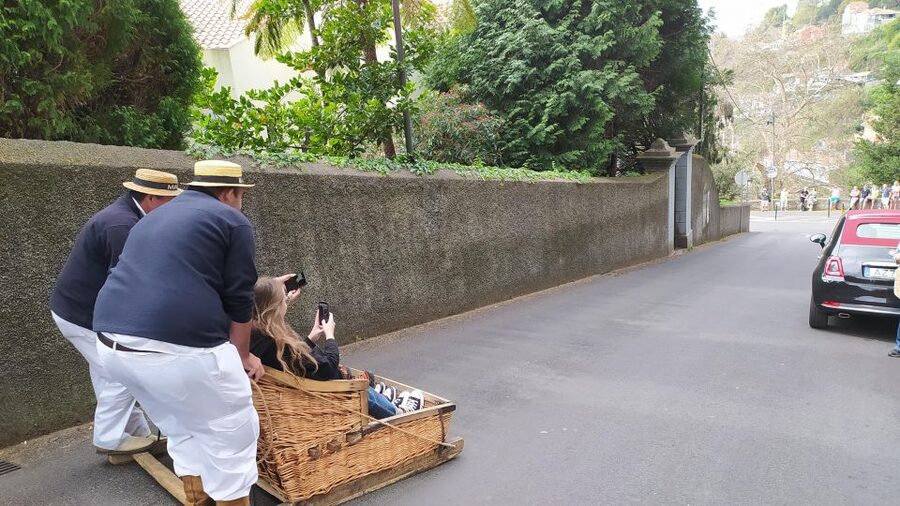 Tuk Tuk Monte Toboggan - Madeira Island - Key Highlights You’ll Care About