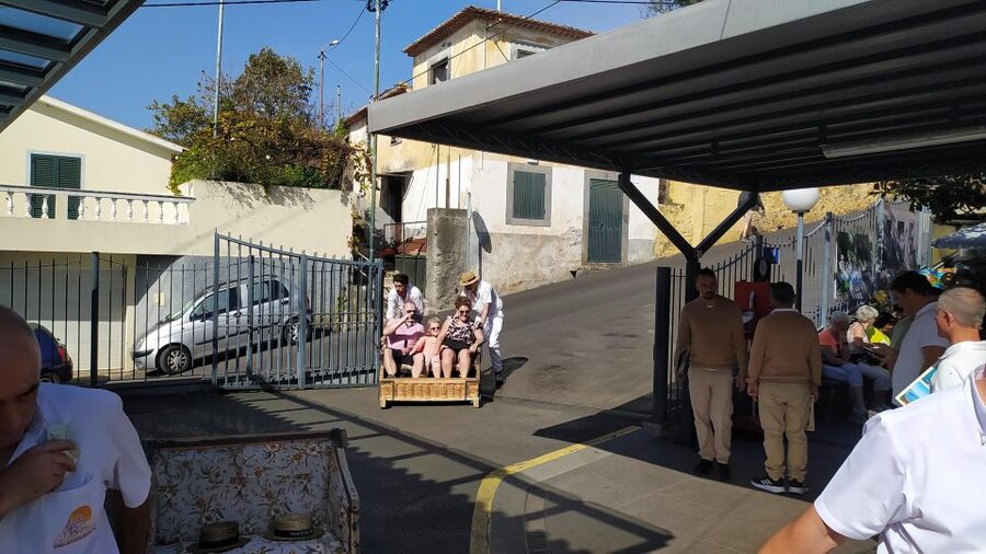 Tuk Tuk Monte Toboggan - Madeira Island - Who This Tour Fits Best on Madeira