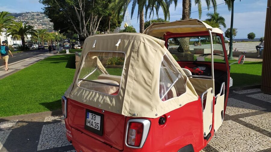 Tuk Tuk Monte Toboggan - Madeira Island - Should You Book the Tuk Tuk Monte Toboggan?