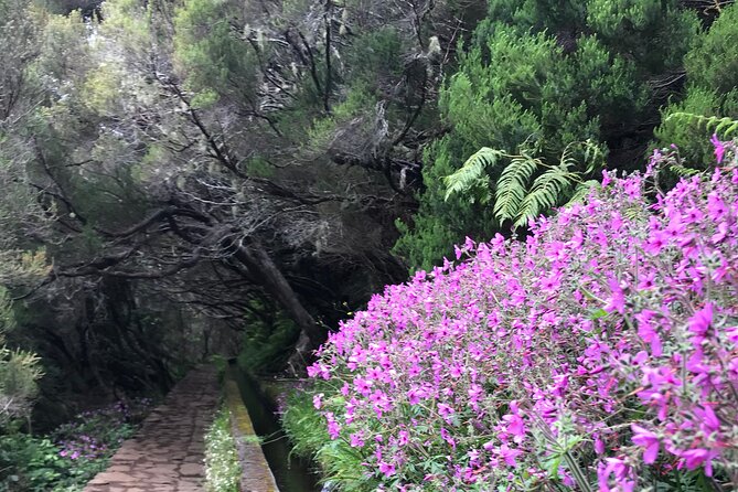 Twenty-Five Fountains Levada walks (private) - Distance, Terrain, and Gear: 12 km With a Tunnel Crossing