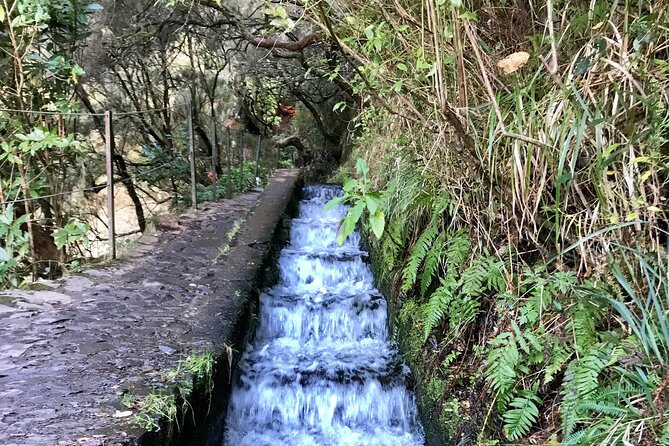 Twenty-Five Fountains Levada walks (private) - The Guide Factor: Certified Expertise Since 2018