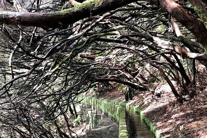 Twenty-Five Fountains Levada walks (private) - Price and Value: $90.31 for a Private, Guided, Included-Day