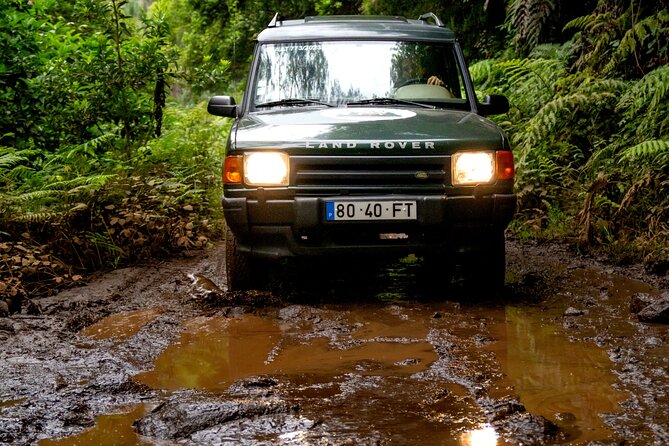 Unveil West Madeira: 4x4 Cliffs, Pools & Views - A West Madeira 4x4 day that feels hands-on