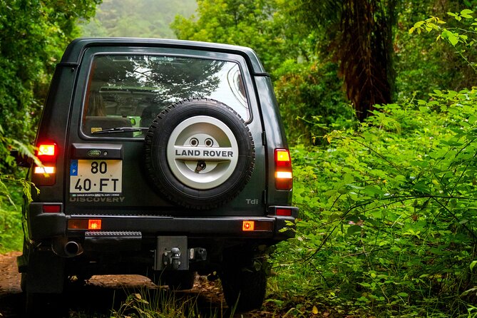 Unveil West Madeira: 4x4 Cliffs, Pools & Views - Veu da Noiva viewpoint: a waterfall scene without a complicated fee