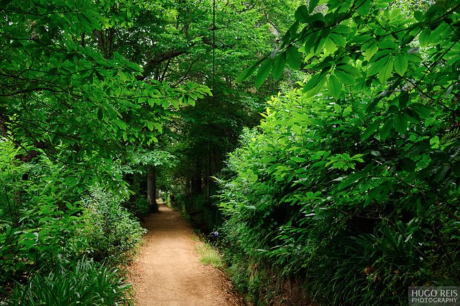 Vale Paraiso - Paradise Valley Walk - Key highlights you’ll actually care about