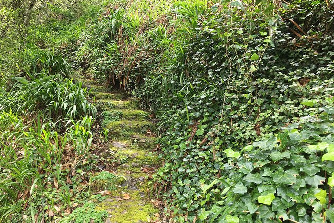 Vale Paraiso - Paradise Valley Walk - Caminho do Rochão: the start that sets the tone