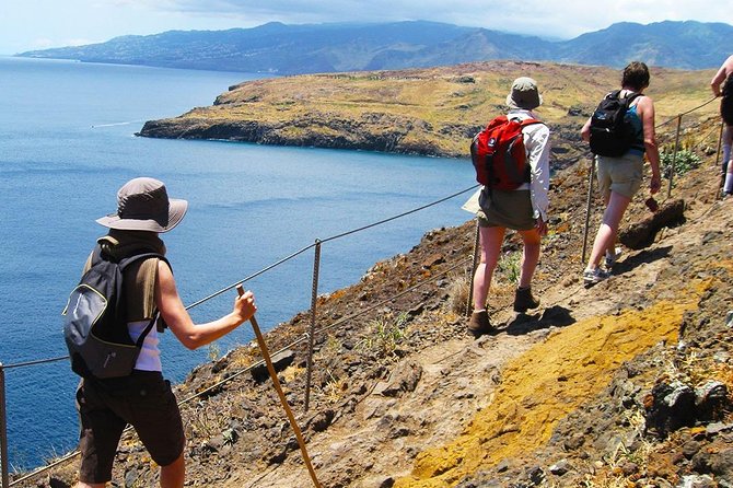 Vereda da Ponta de São Lourenço Trail Walking Tour - Guide energy: why Sara-style guiding changes the whole day