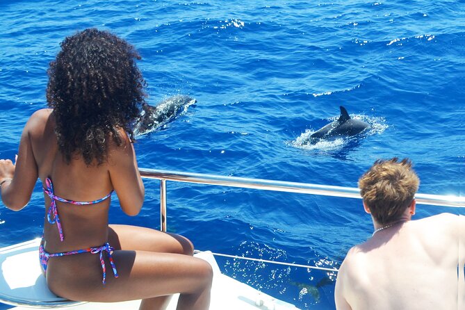 VipDolphins Luxury Whale Watching - Where the tour starts: Praça do Povo and an easy marina meeting
