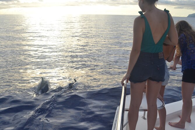 VipDolphins Luxury Whale Watching - The real highlight for many: Cabo Girão swim and snorkeling break