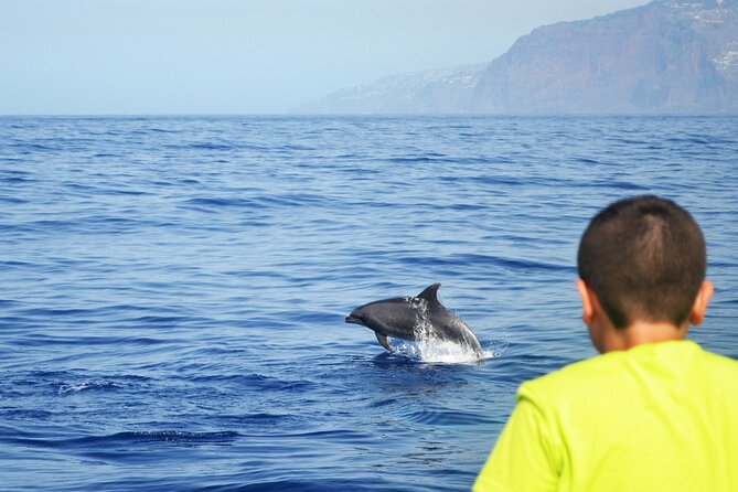 VipDolphins Luxury Whale Watching - What’s included onboard: drinks, snacks, and the crew’s pacing