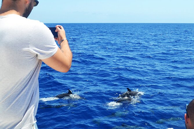 VipDolphins Luxury Whale Watching - Timing and duration: three hours that feel like an afternoon, not a full day