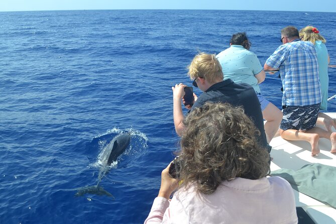 VipDolphins Luxury Whale Watching - Who should book this tour, and who might prefer something else