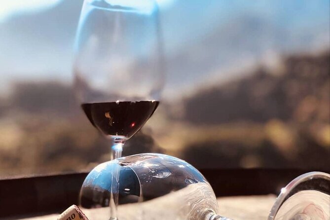Visiting local Vineyard With Wine Tasting & Lunch included - Why This Madeira Wine Day Trip Works So Well
