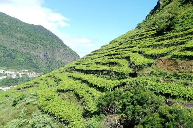 Visiting local Vineyard With Wine Tasting & Lunch included - Stop 2: Fajã dos Padres Walk, Fruits, Plants, and the Cable Car Moment