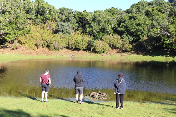 Volcanic Pools and Northwest 4WD Full Day Tour - Porto Moniz Natural Swimming Pools: your main event