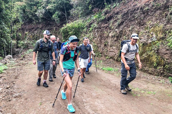 Walk with a local - The Real Point of This Tour: Walking, Not Just Seeing