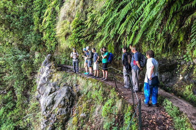 Walk with a local - When the Guide Makes the Walk: Dino’s Small-Group Advantage