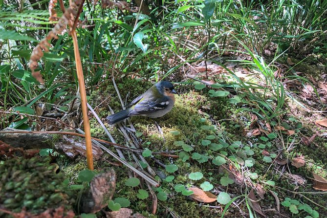 Walk with a local - What to Bring (So the Wet Parts Don’t Surprise You)