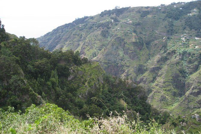 Walking Experience in the Serra D'Água Valley - Serra D’Água Valley: what makes this levada walk feel special
