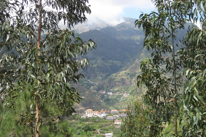 Walking Experience in the Serra D'Água Valley - The walking plan: a gentle 5 km along the levada