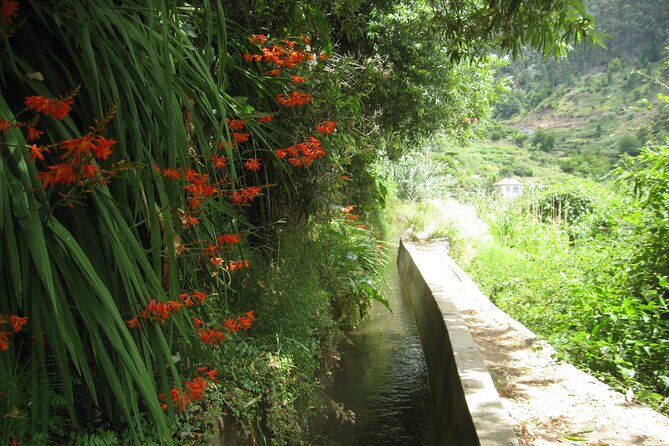 Walking Experience in the Serra D'Água Valley - Getting there from Funchal: meet at Views Monumental at 9:00 am